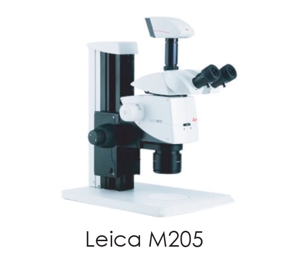 Стерео микроскоп Leica М205