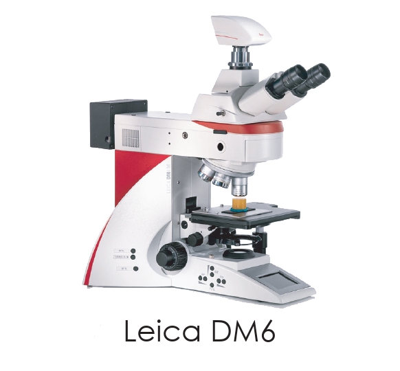 Прямой микроскоп Leica DM 6